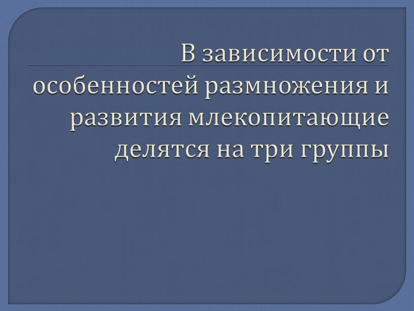 В зависимости от особенностей размножения и развития млекопитающие делятся на три группы