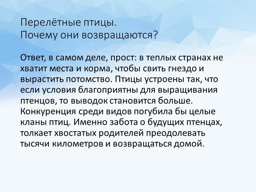 Перелётные птицы. Почему они возвращаются?