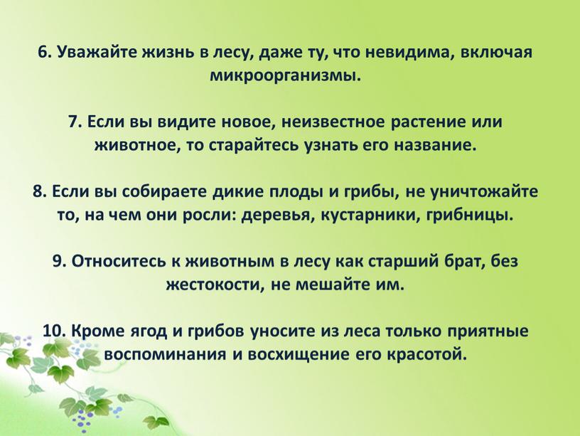 Уважайте жизнь в лесу, даже ту, что невидима, включая микроорганизмы