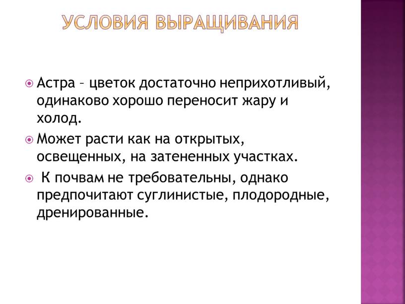 Условия выращивания Астра – цветок достаточно неприхотливый, одинаково хорошо переносит жару и холод