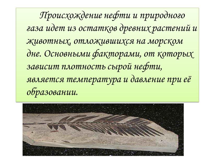 Происхождение нефти и природного газа идет из остатков древних растений и животных, отложившихся на морском дне