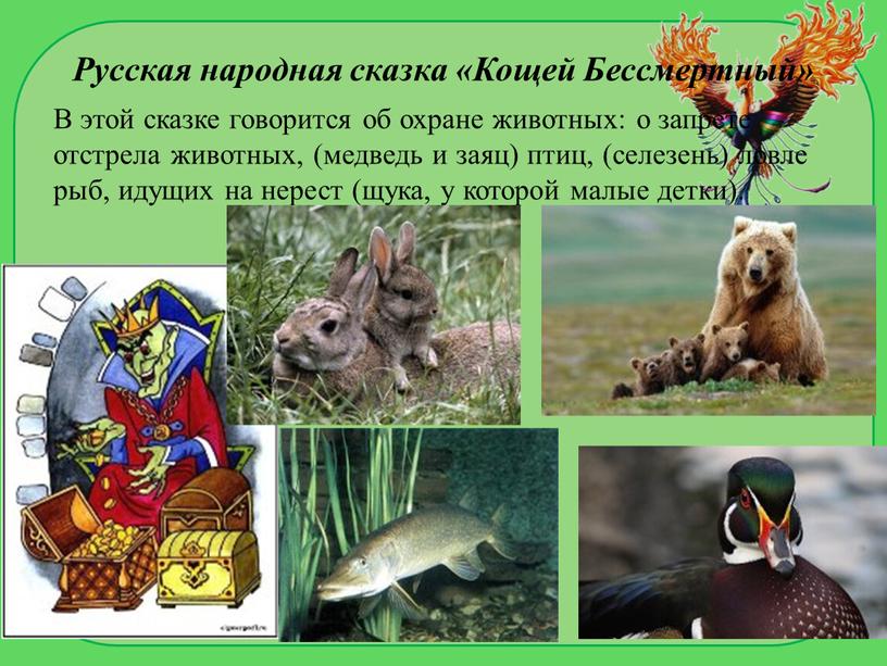 Русская народная сказка «Кощей