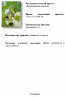 Обложка для материала Проектная работа по теме "Фасоль"