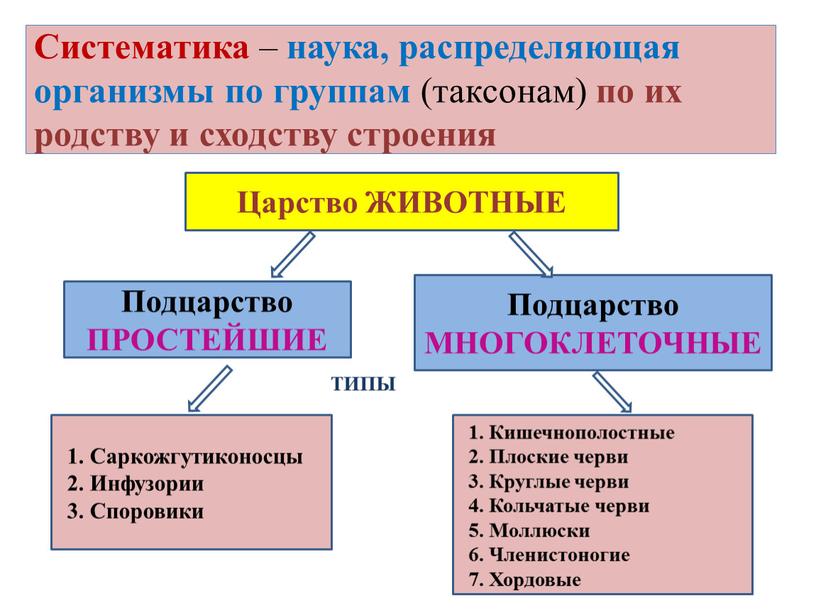 Систематика – наука, распределяющая организмы по группам (таксонам) по их родству и сходству строения