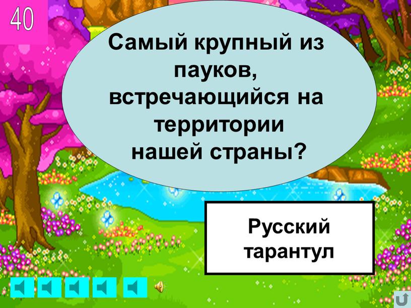 Самый крупный из пауков, встречающийся на территории нашей страны?