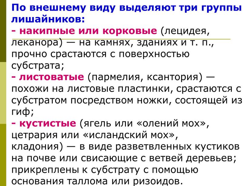 По внешнему виду выделяют три группы лишайников: - накипные или корковые (лецидея, леканора) — на камнях, зданиях и т