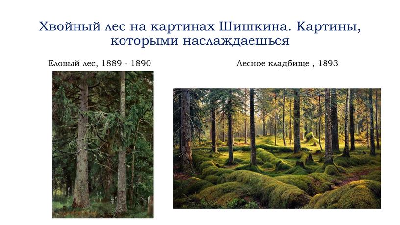 Хвойный лес на картинах Шишкина