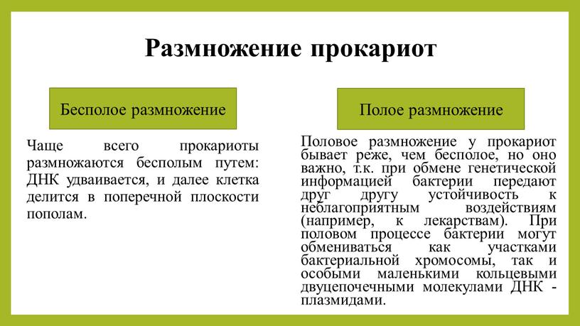 Размножение прокариот Половое размножение у прокариот бывает реже, чем бесполое, но оно важно, т