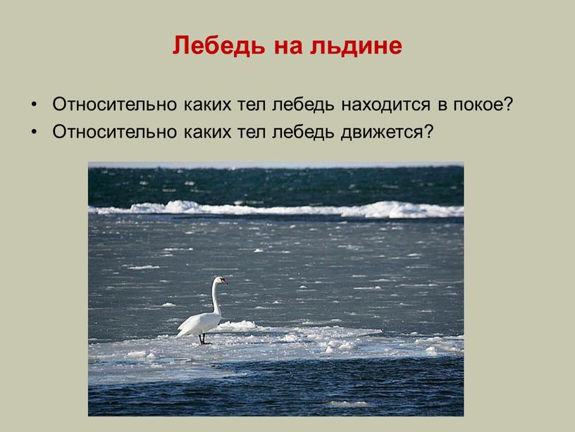 Лебедь на льдине Относительно каких тел лебедь находится в покое?