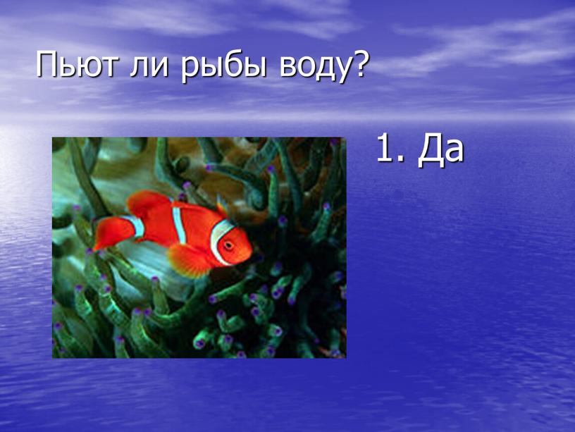 Пьют ли рыбы воду? 1. Да