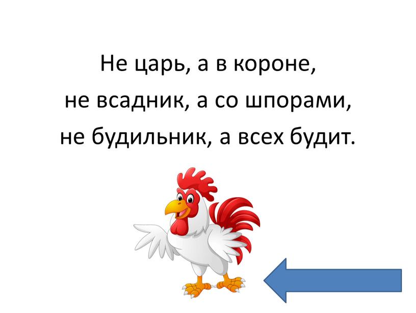 Не царь, а в короне, не всадник, а со шпорами, не будильник, а всех будит