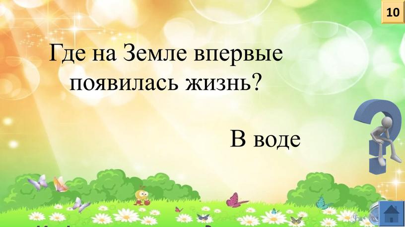 Где на Земле впервые появилась жизнь?