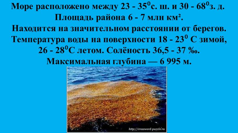 Море расположено между 23 - 35⁰с