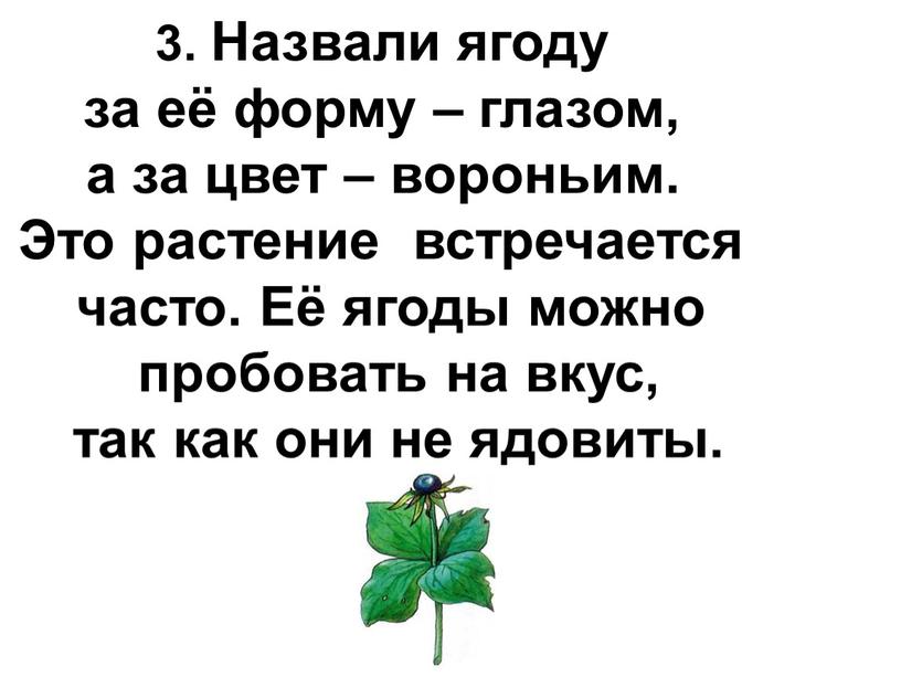 Назвали ягоду за её форму – глазом, а за цвет – вороньим