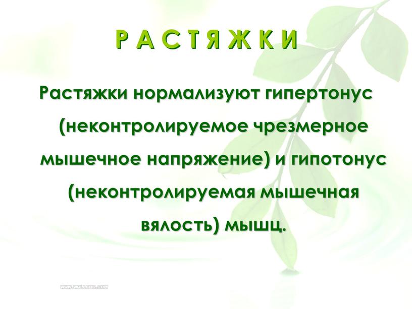 Р А С Т Я Ж К И Растяжки нормализуют гипертонус (неконтролируемое чрезмерное мышечное напряжение) и гипотонус (неконтролируемая мышечная вялость) мышц