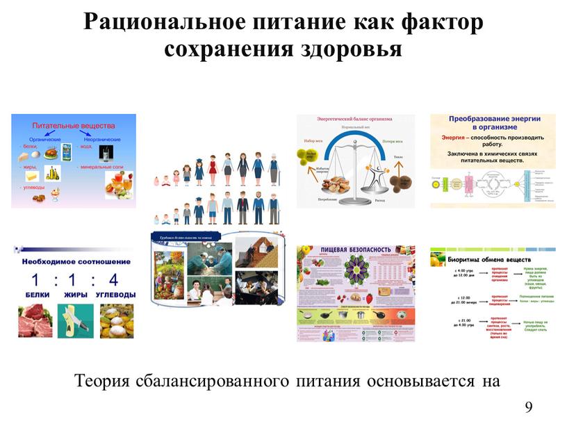 Теория сбалансированного питания основывается на