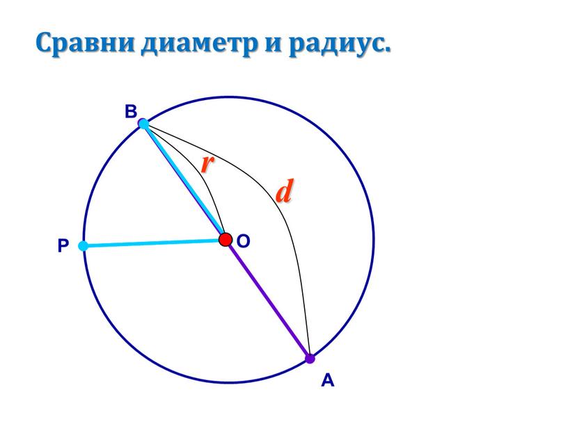 Сравни диаметр и радиус. В А P