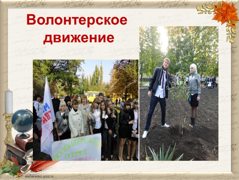 Волонтерское движение