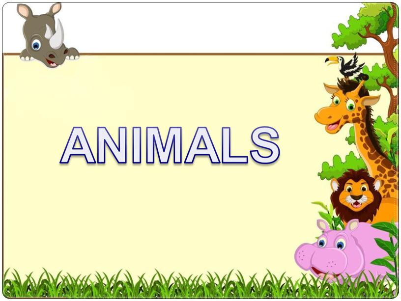 ANIMALS