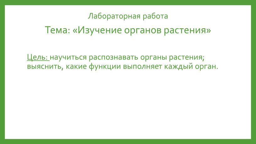 Лабораторная работа Тема: «Изучение органов растения»