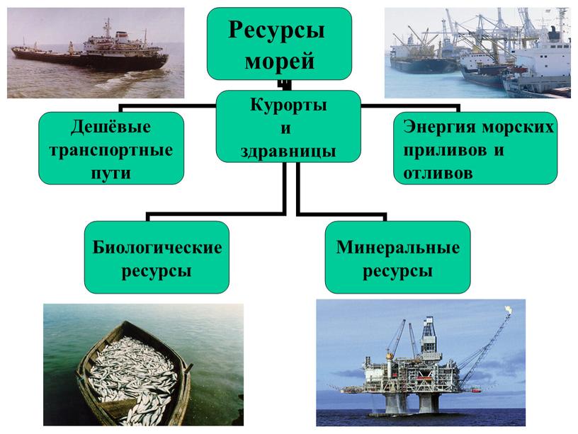 Презентация "Моря, омывающие Россию