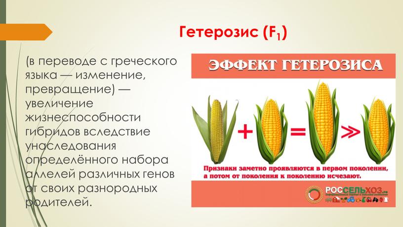 Гетерозис (F1) (в переводе с греческого языка — изменение, превращение) — увеличение жизнеспособности гибридов вследствие унаследования определённого набора аллелей различных генов от своих разнородных родителей