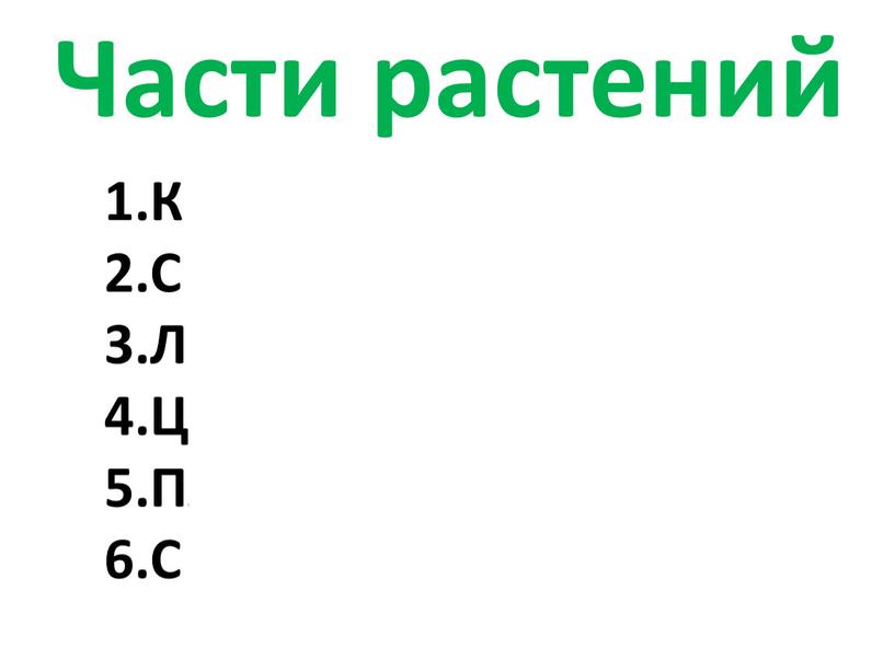 Части растений К орень С тебель (ствол)