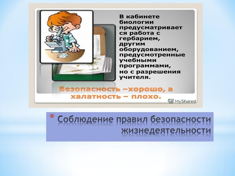 Соблюдение правил безопасности жизнедеятельности