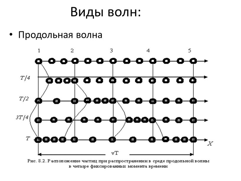 Виды волн: Продольная волна