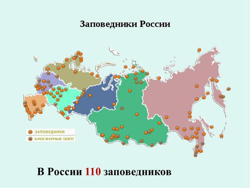 В России 110 заповедников