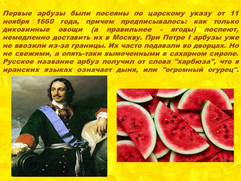 Первые арбузы были посеяны по царскому указу от 11 ноября 1660 года, причем предписывалось: как только диковинные овощи (а правильнее - ягоды) поспеют, немедленно доставить…