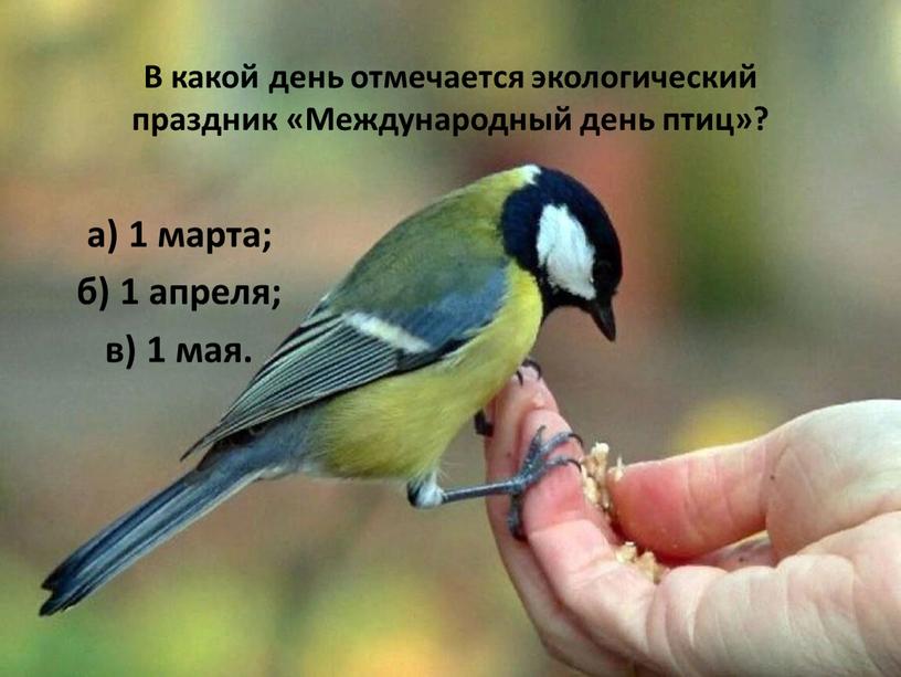 В какой день отмечается экологический праздник «Международный день птиц»? а) 1 марта; б) 1 апреля; в) 1 мая