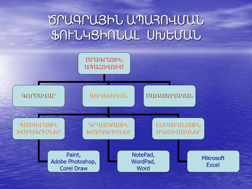 ԾՐԱԳՐԱՅԻՆ ԱՊԱՀՈՎՄԱՆ ՖՈՒՆԿՑԻՈՆԱԼ ՍԽԵՄԱՆ