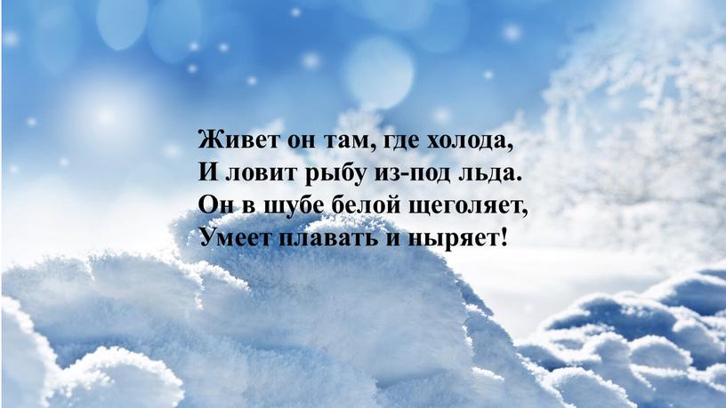 Живет он там, где холода, И ловит рыбу из-под льда