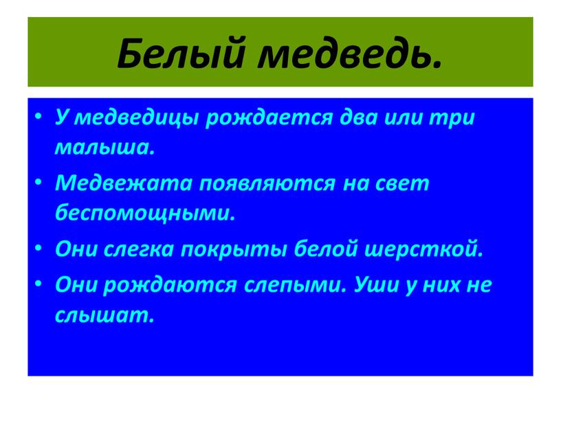 Белый медведь. У медведицы рождается два или три малыша