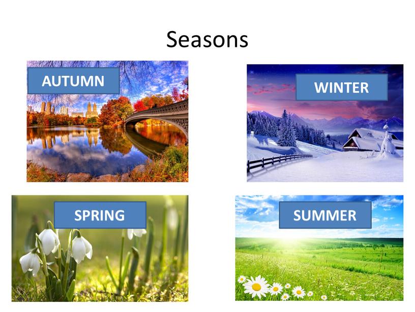 Seasons WINTER AUTUMN SPRING SUMMER