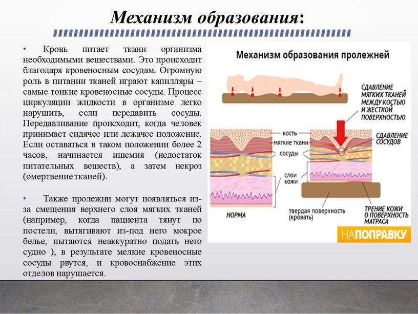 Механизм образования : Кровь питает ткани организма необходимыми веществами