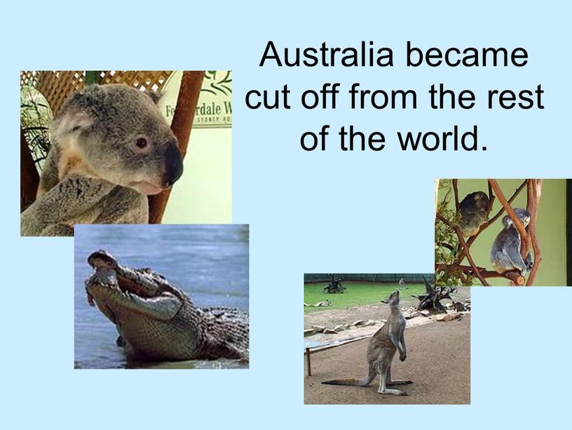 Australia became cut off from the rest of the world