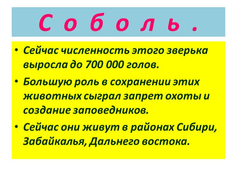 С о б о л ь . Сейчас численность этого зверька выросла до 700 000 голов