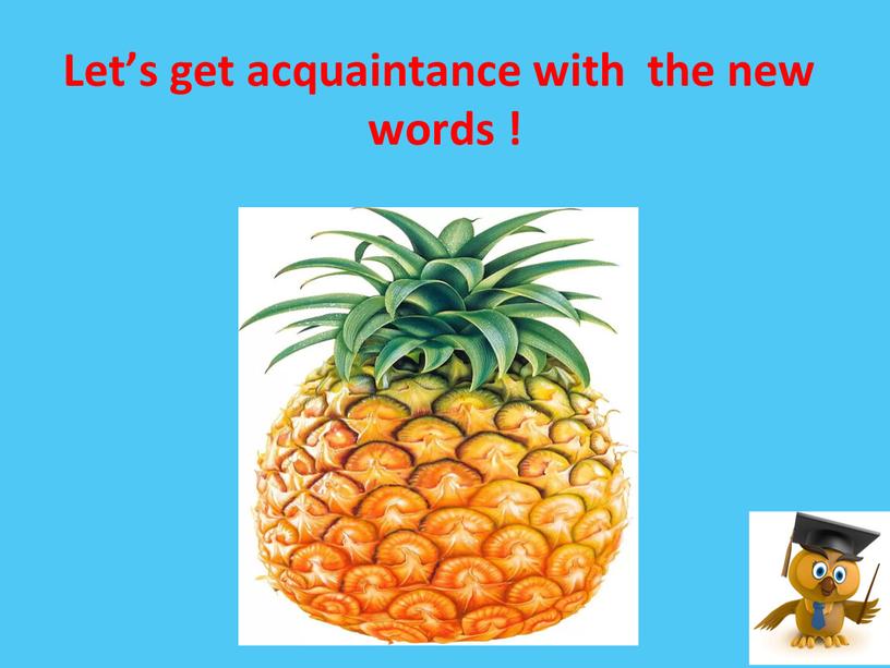 Let’s get acquaintance with the new words !