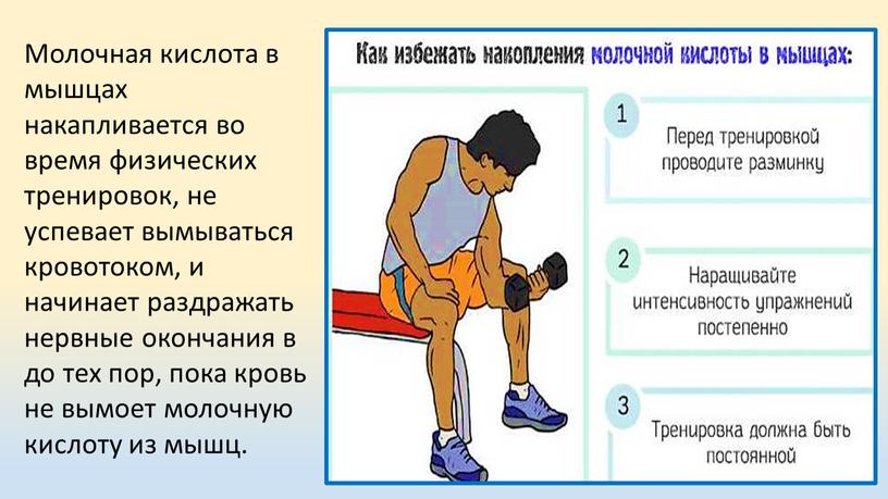 Молочная кислота в мышцах накапливается во время физических тренировок, не успевает вымываться кровотоком, и начинает раздражать нервные окончания в до тех пор, пока кровь не…