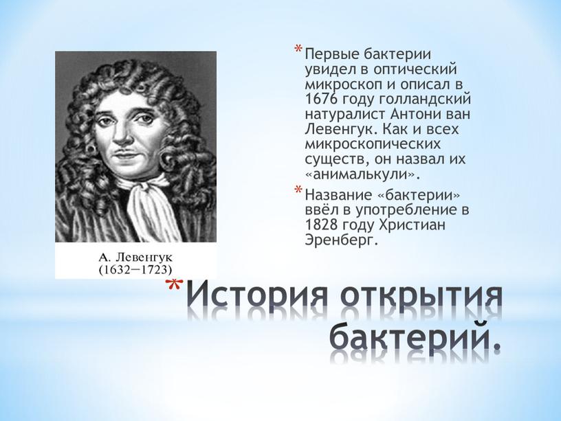 История открытия бактерий. Первые бактерии увидел в оптический микроскоп и описал в 1676 году голландский натуралист