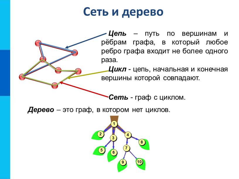 Сеть и дерево Цепь – путь по вершинам и рёбрам графа, в который любое ребро графа входит не более одного раза