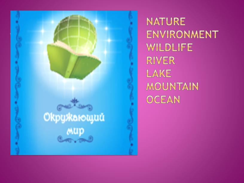 Nature Environment Wildlife River