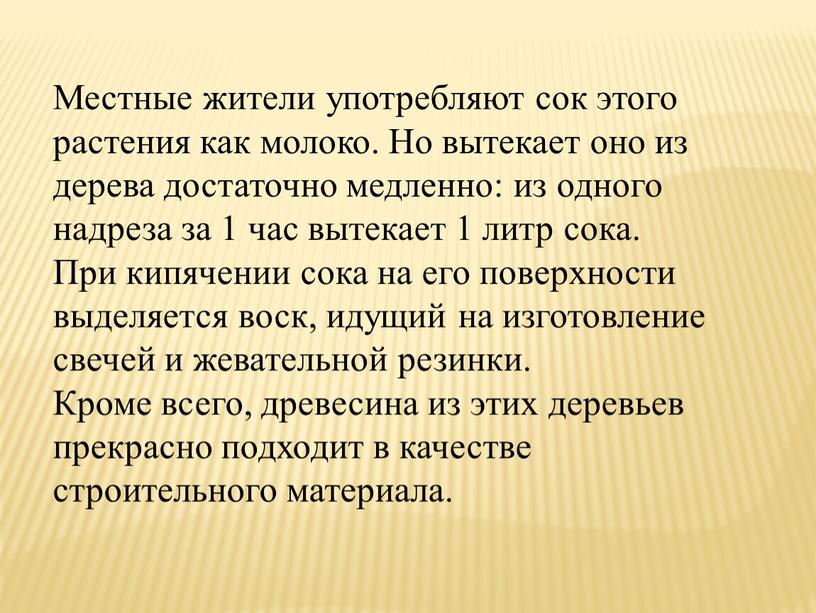 Местные жители употребляют сок этого растения как молоко