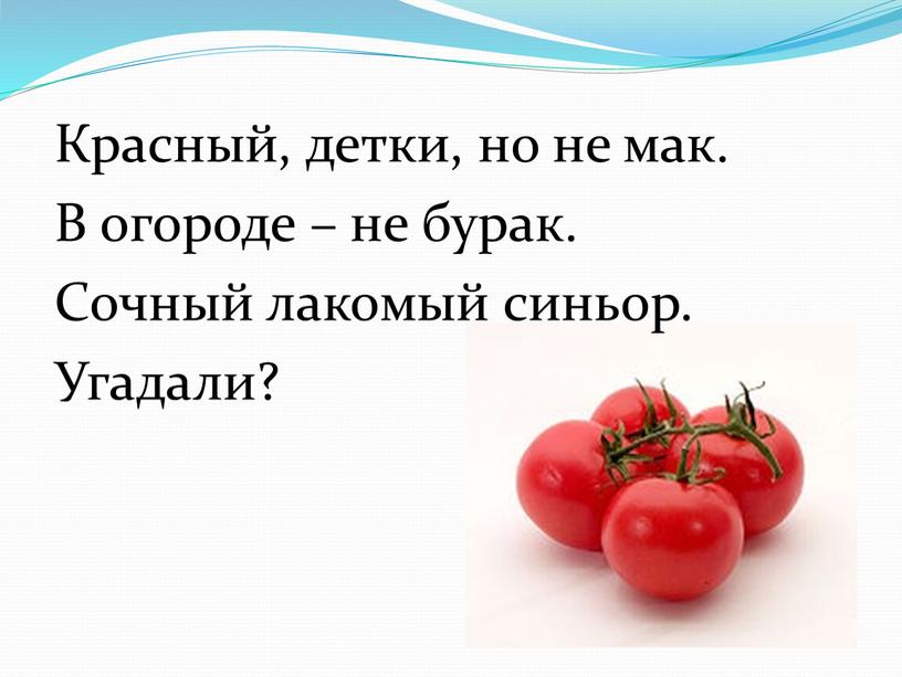 Красный, детки, но не мак. В огороде – не бурак