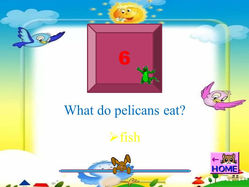 6 What do pelicans eat? fish
