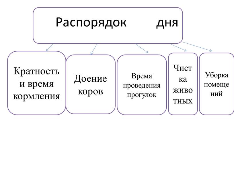 Распорядок дня Кратность и время кормления