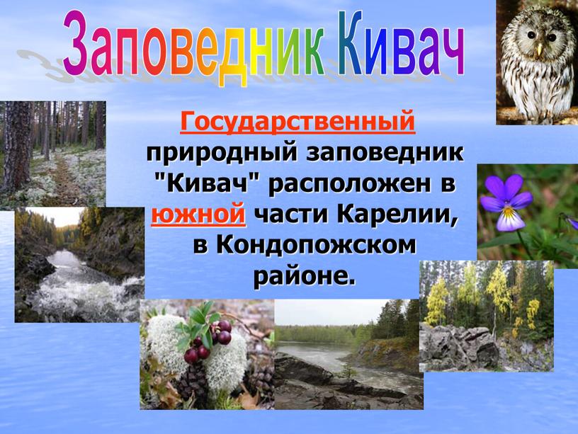 Государственный природный заповедник "Кивач" расположен в южной части