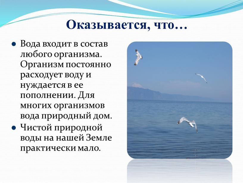 Оказывается, что… Вода входит в состав любого организма